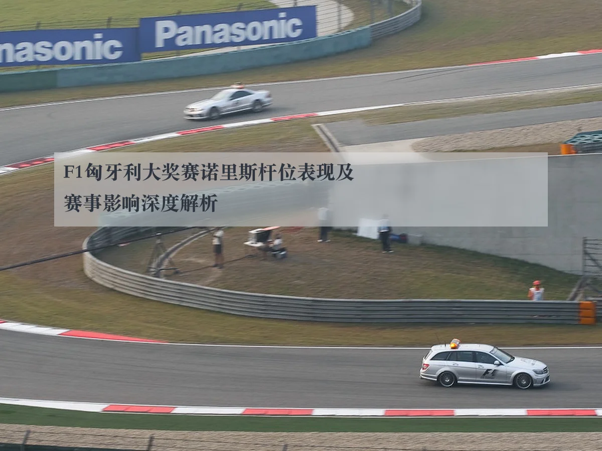 F1匈牙利大奖赛诺里斯杆位表现及赛事影响深度解析